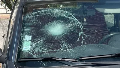 Devanture de Auto Parebrise 66