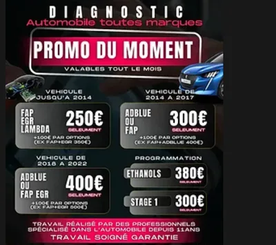 Devanture de Désactivation filtre à particule adblue urea nettoyage fap