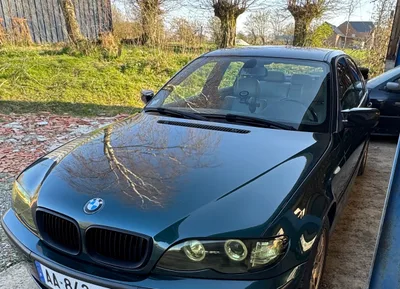 Devanture des Rutilantes - carrosserie