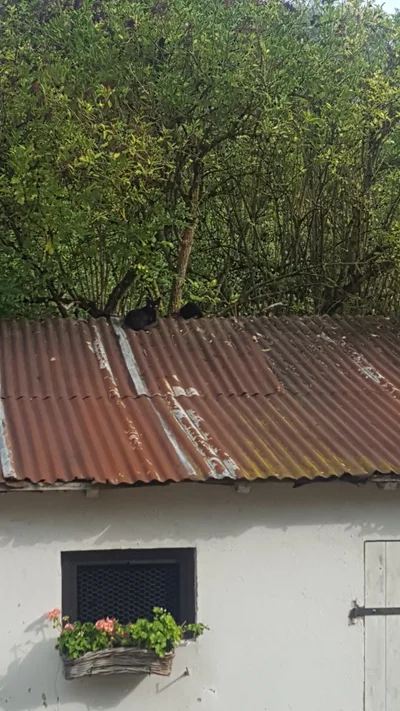Devanture de Garage Thiel
